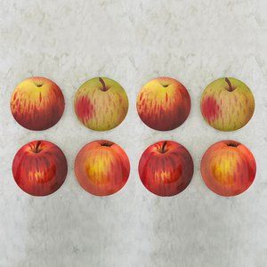 8pc John Derian for Target Apple Salad Plates